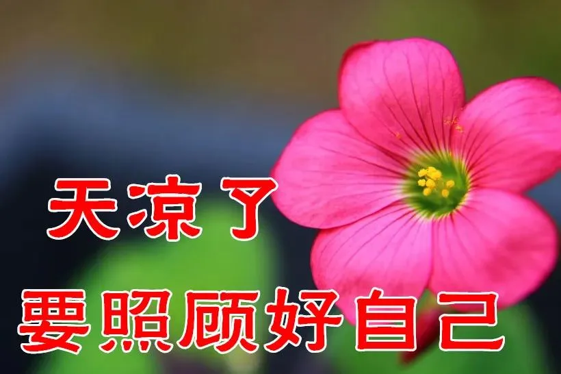 清晨问候早安的简短语句，新的一天早安祝福语精美语句图片
