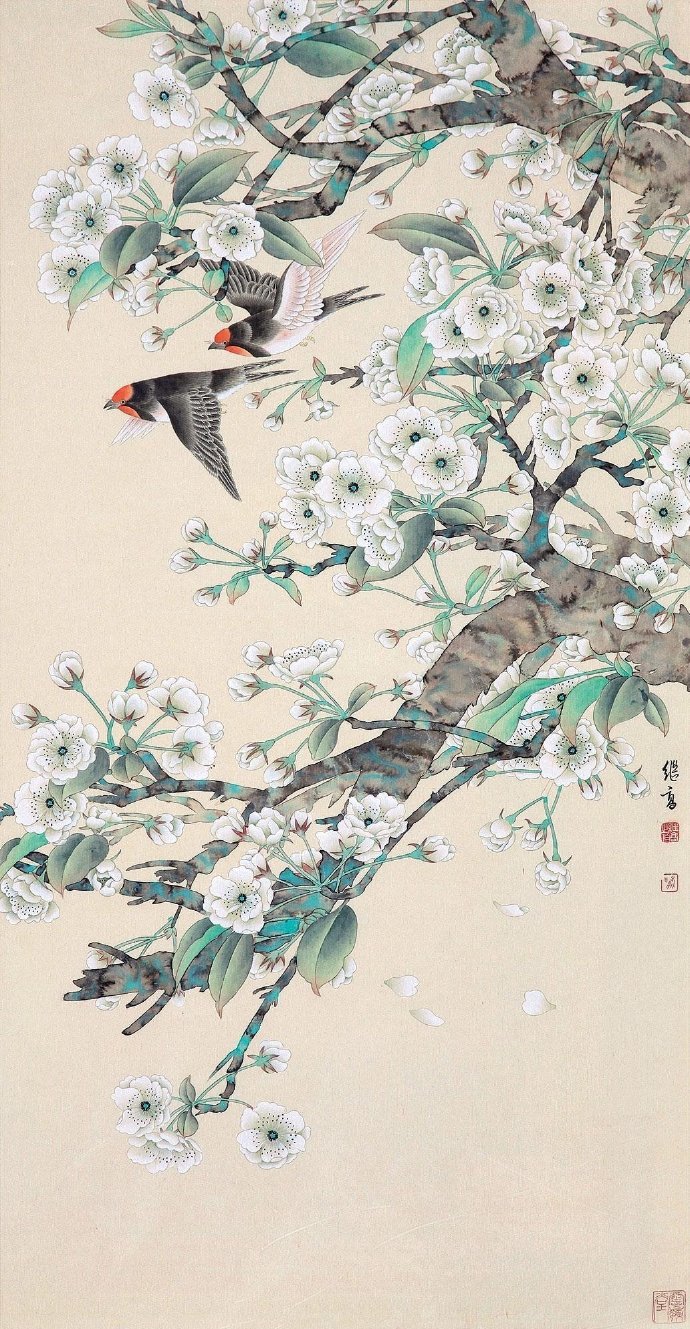 Yu Jigao · Flower and Bird Appreciation - iMedia