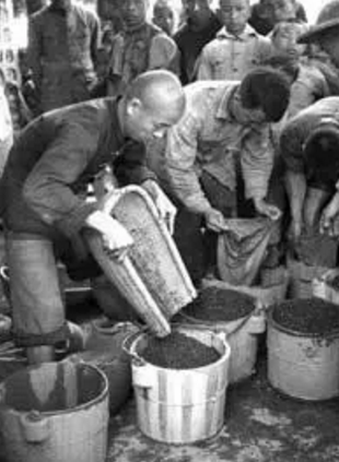 毛泽民的悲壮长征，送走国家银行6位烈士，却没