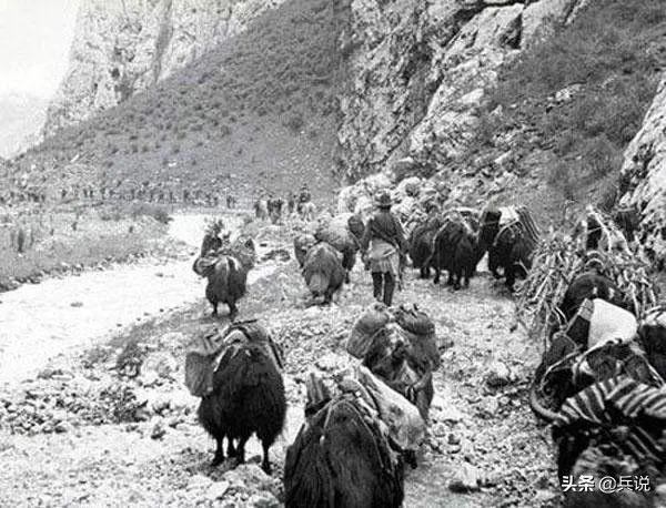 藏族群众支前，牦牛死一头，赔25银元，称解放军为菩萨兵