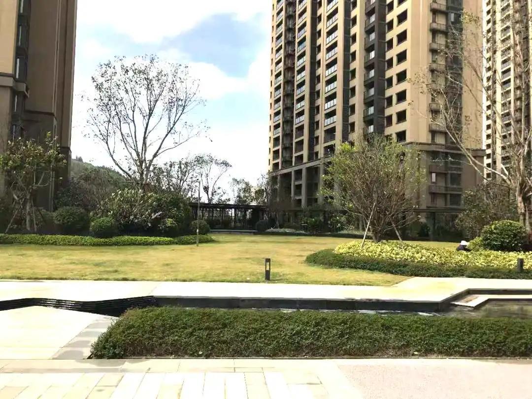 家期已至，静候君启