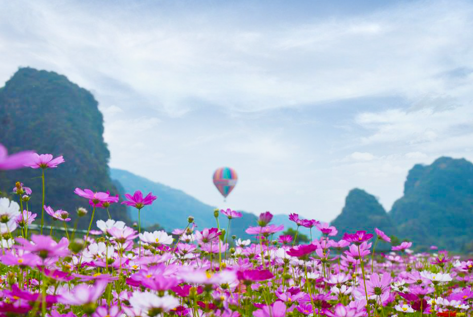 免费玩！清远这座