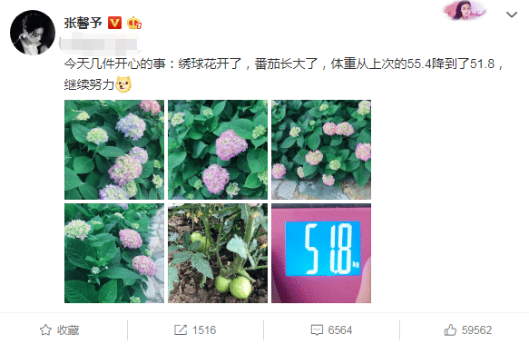 成为军嫂后的张馨予，一切都变得不一样，走向