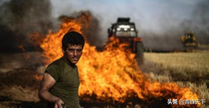 丧尽天良！美军用燃烧弹焚烧叙利亚麦田，故意