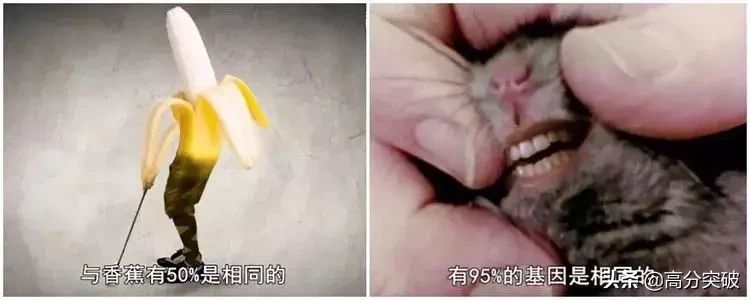 化学纪录片大盘点!科学迷必看系列
