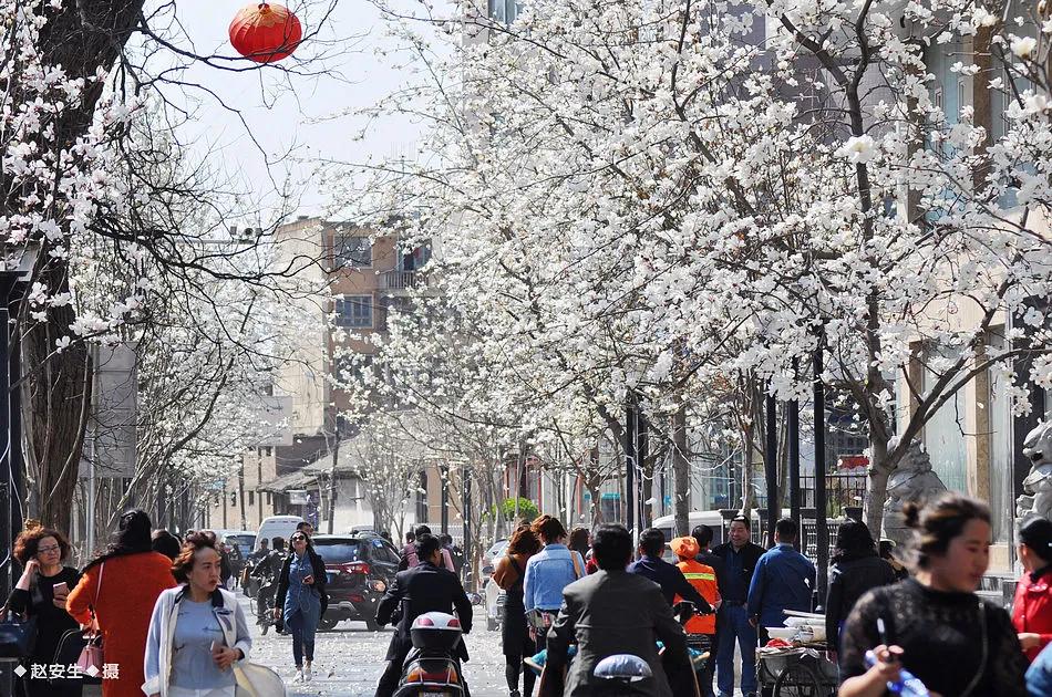 秦州区成功创建为省级全域旅游示范区，一起为美丽家乡点赞