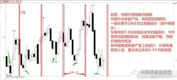 再破历史新低，鸡蛋怎一个“惨”字了得