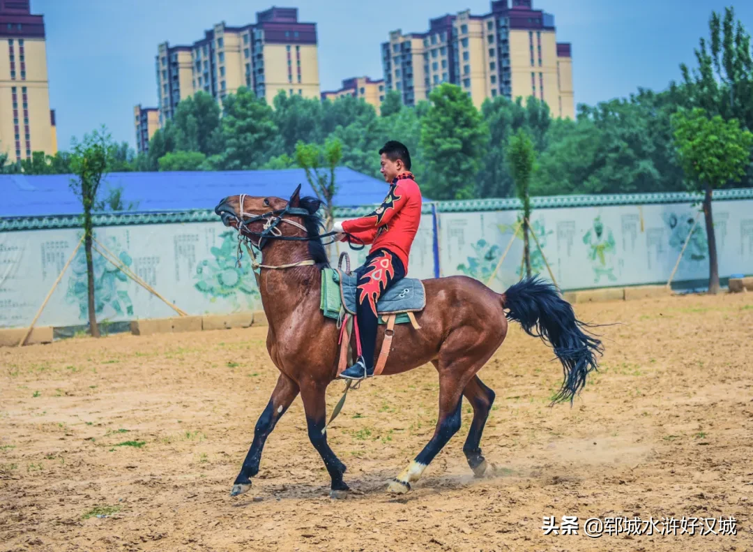 “十一”8天玩什么：宋江武校重刀队和狗娃武艺团精彩大放送！