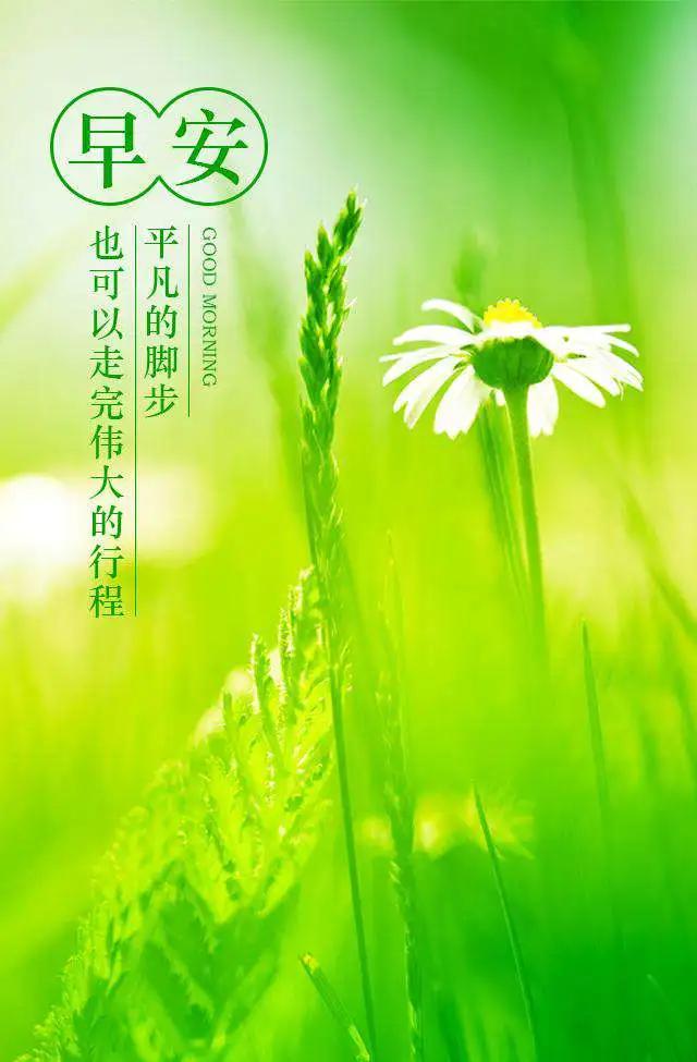 不想认命，就去拼命，我始终相信，付出就会有收获，早安