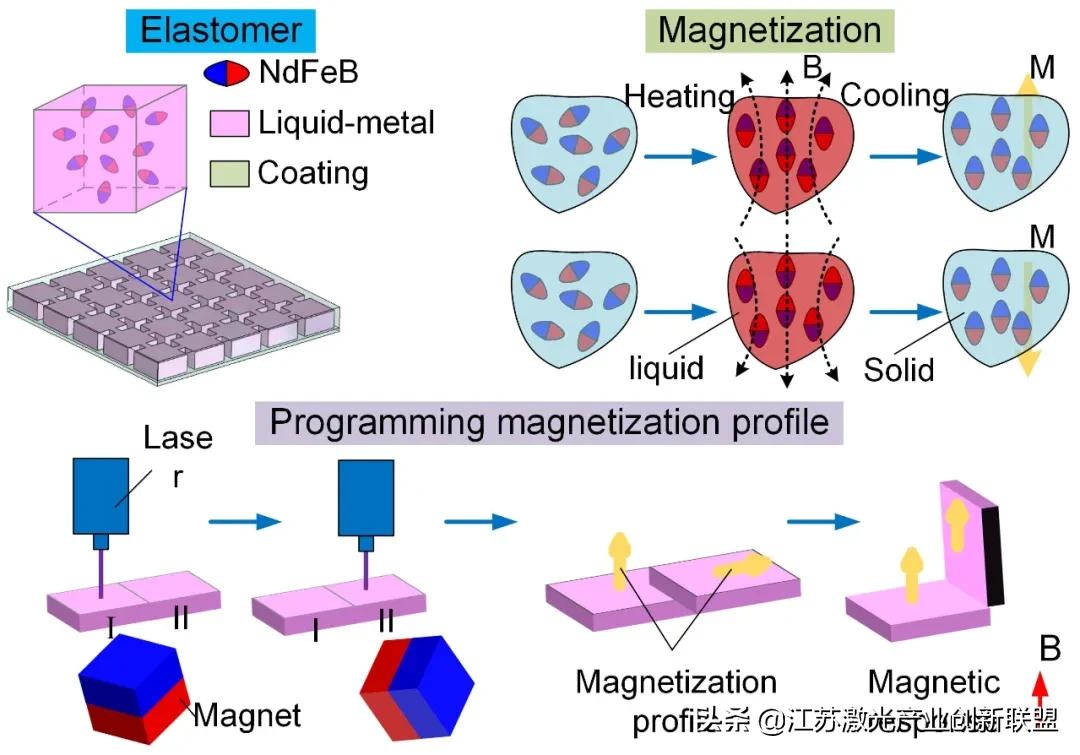 A soft magnetic pixel robot, programmable into different shapes - iNEWS