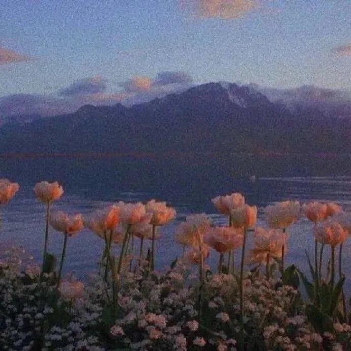 抖音热门背景图