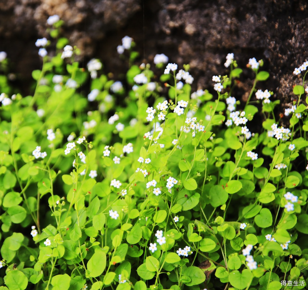 用了一个周末加两天休息时间，自驾去了一趟鄂