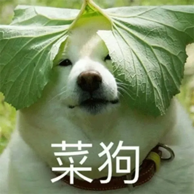 一大波骁龙898新机已在路上,准备买手机的小伙