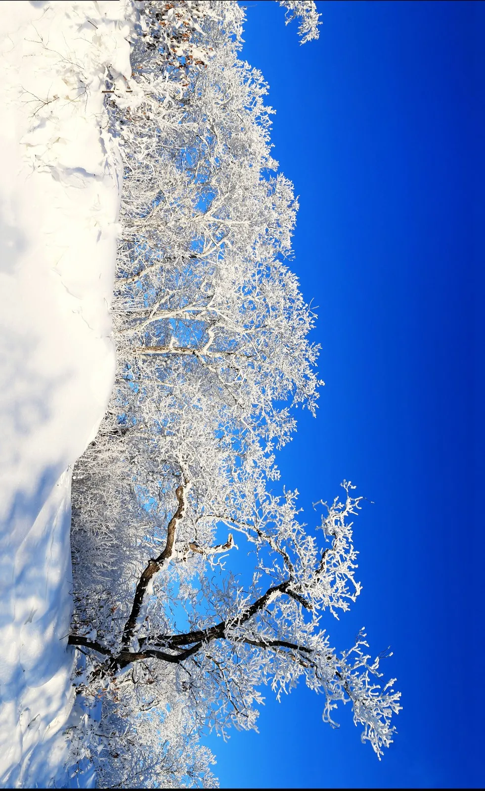 黑土湿地之都 | 诗画饶河 魅力边城