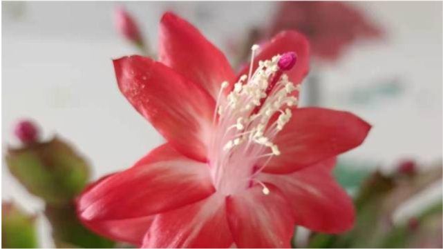 个人拍摄自媒体视频如何快速入门