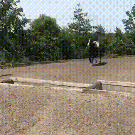 搞笑GIF趣图：产生猥琐想法的，请检讨自己