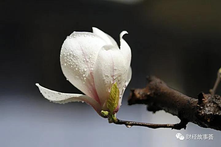 清华博士创业2020年自救实录：欠租欠薪，房东追债，家人痛哭
