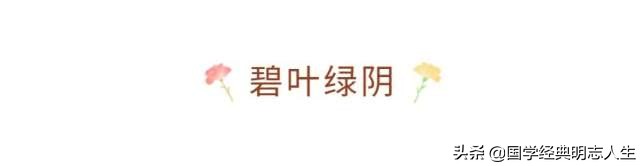 夏天美好诗词佳句-第8张图片-非凡网