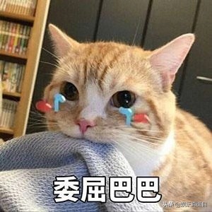 霉霉加盟双11晚会 门票半秒售空令粉丝怀疑人生