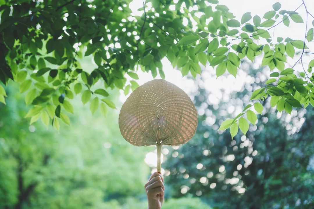 夏天最美的10个瞬间，就藏在这10首诗词里-第6张图片-非凡网