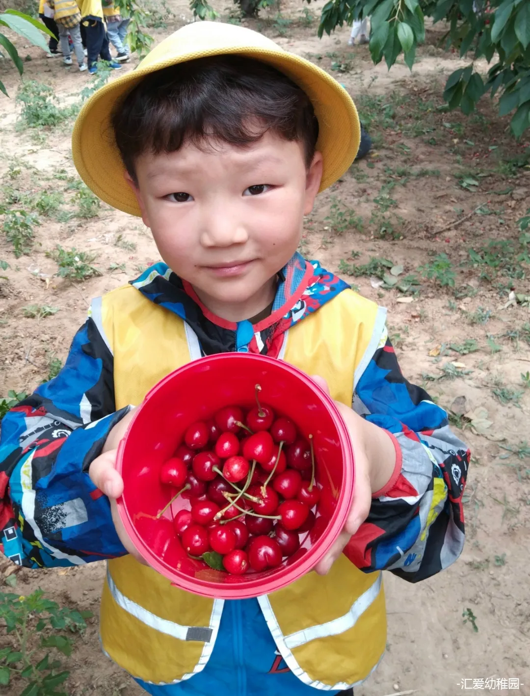 秦岭路汇爱幼稚园丨没有甜甜的文案，只有甜甜的樱桃