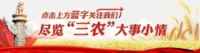 腹泻竟有“致命危险”？夏日炎炎，这些问题要