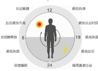 真正的精英，都是会睡觉的人。高效能人士的睡眠法则分享