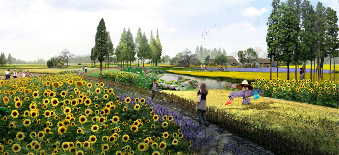 乡村建设行动，三个尊重、四步走，要不一切都白费