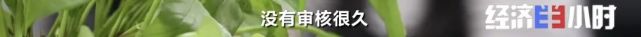 欠费12亿！突然宣布：全部停业