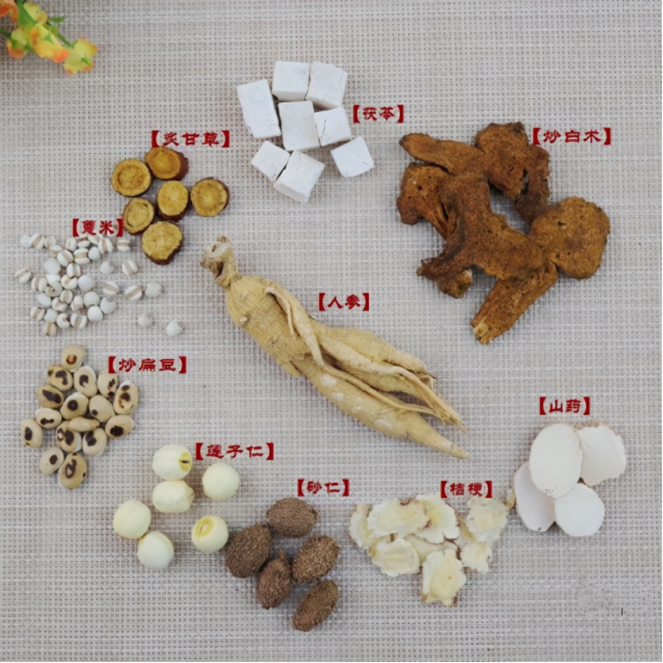 茯苓皮 / 雲苓皮 Fu Ling Pi / Poria Peel / Sclerotium of Tuckahoe / China Root ...