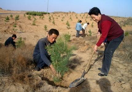 俗语“五十不建房，六十不栽树，七十不做衣”