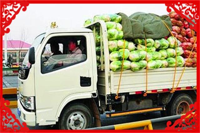 一个中年人，手里没有多少资金，在农村有什么