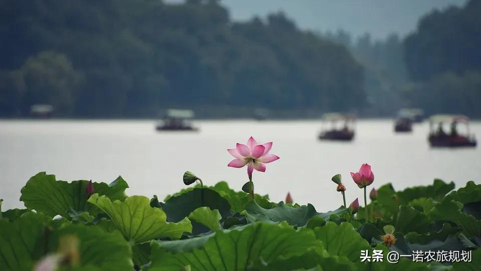 文旅地产如何走出“快钱”模式？