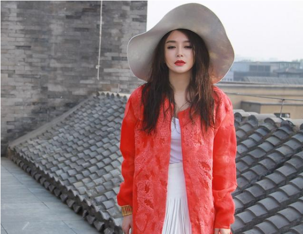 刘玉翠年过五旬至今未婚，秦岚为不婚族，吴君