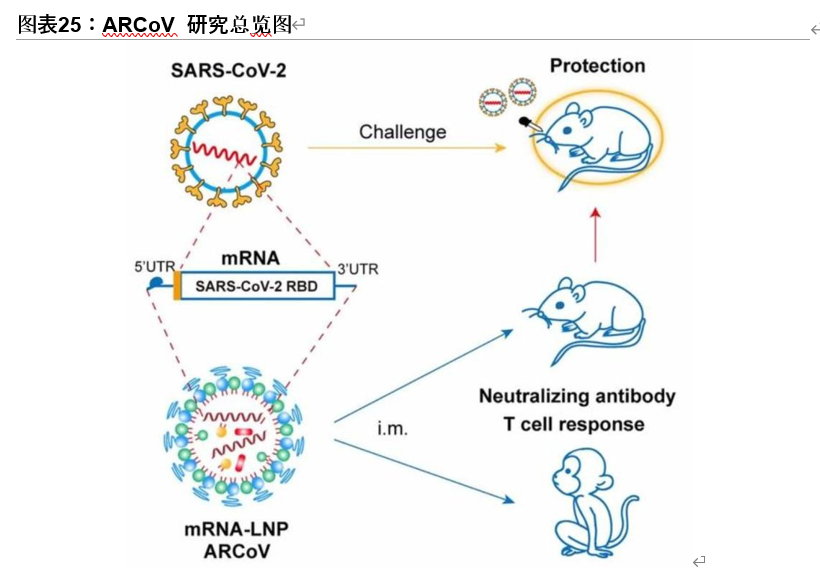 疫苗行业专题报告：一文读懂新冠疫苗全球竞赛