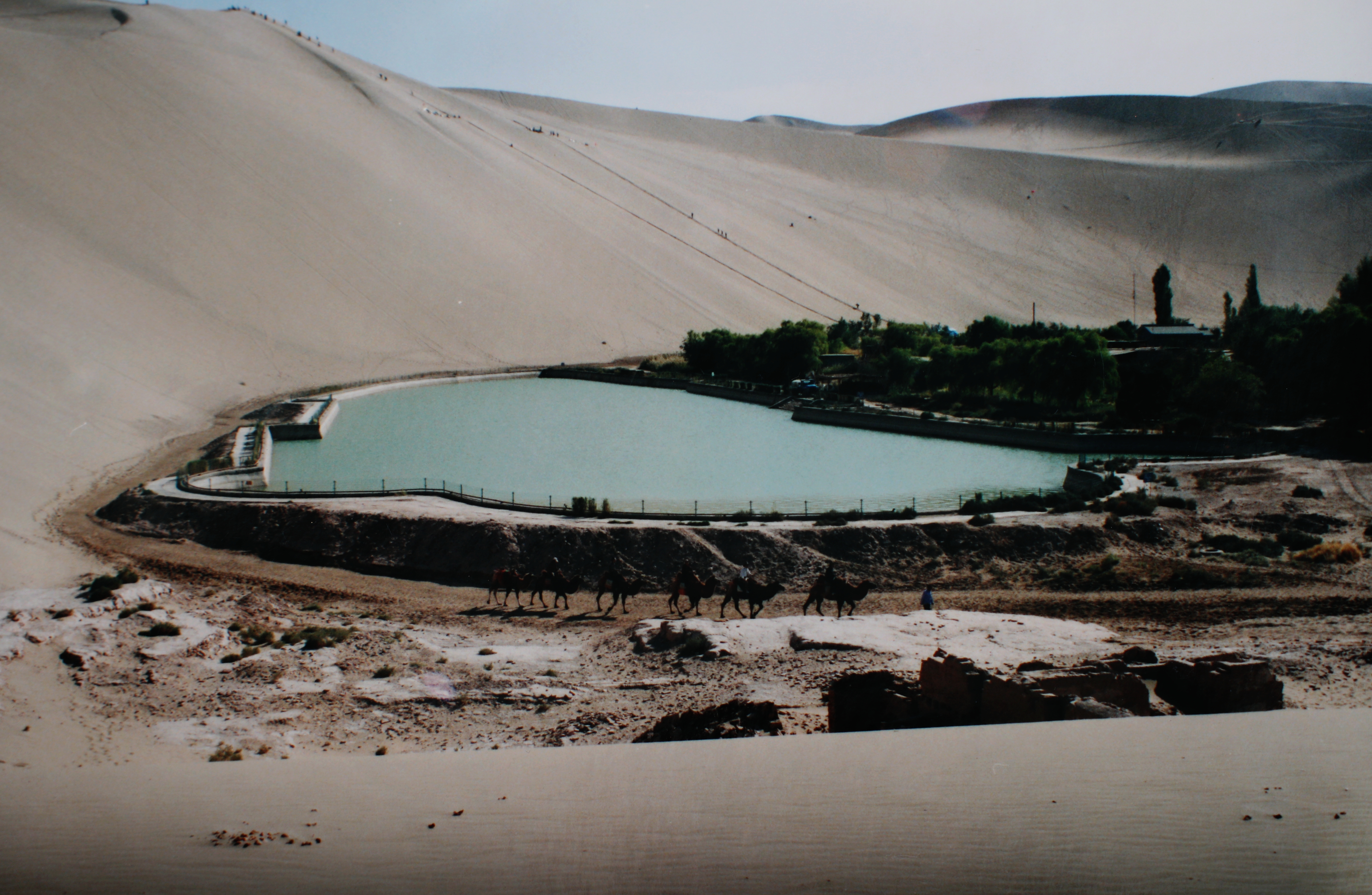 18年前的鳴沙山月牙泉 不知今天什麼樣了 花也缺 Mdeditor