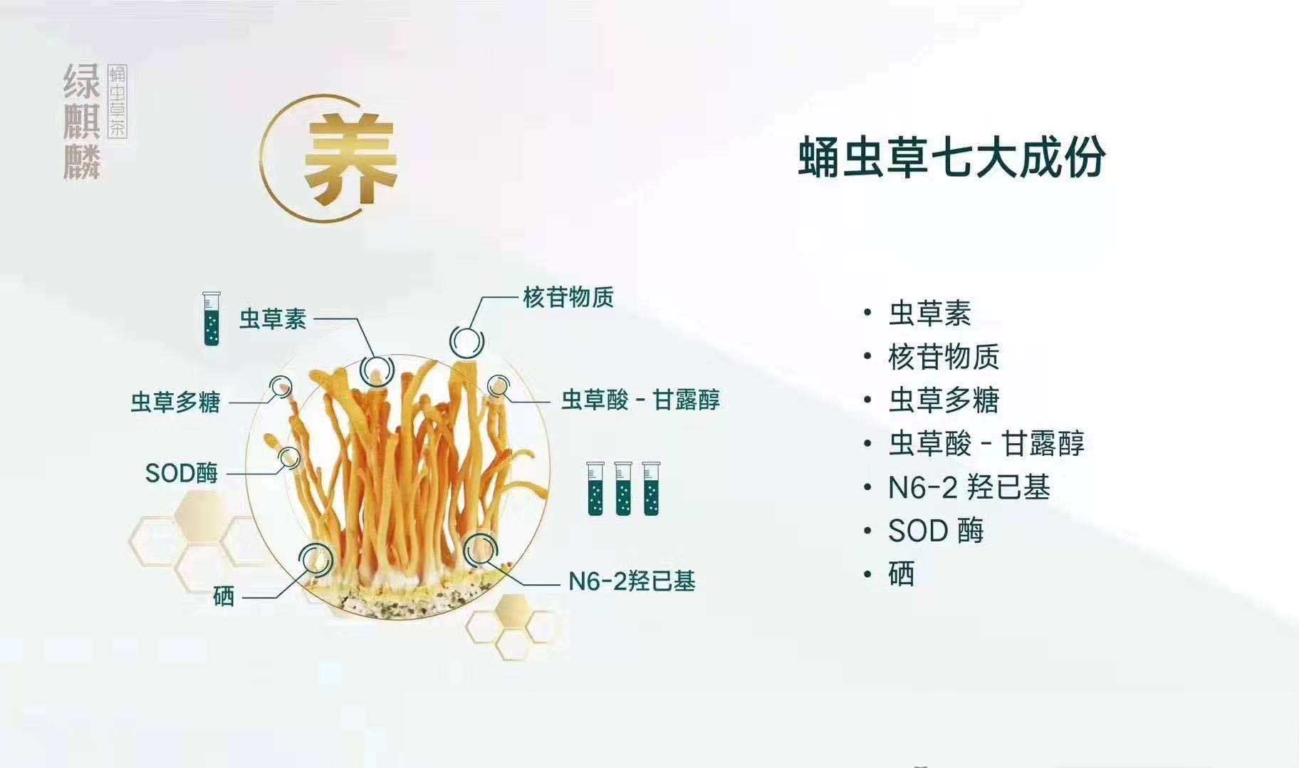 揭秘康能蟲草素的什么面紗，行業領先技術，十年研究結晶