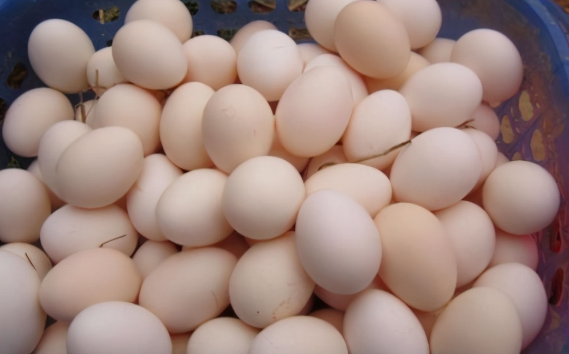 图片[4]-如何挑选鸡蛋 鸡蛋保存技巧 不用冰箱 3个土方法 轻松保存半年-起舞食谱网