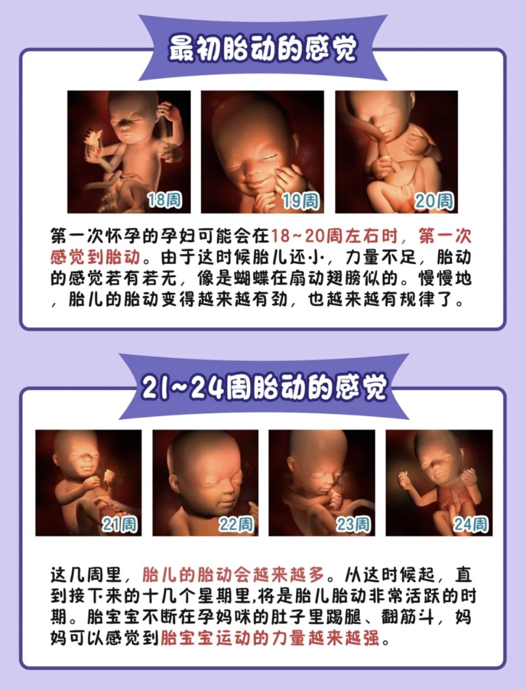 一定要知道的胎動知識 準媽媽必學 小可愛芒果媽媽 Mdeditor