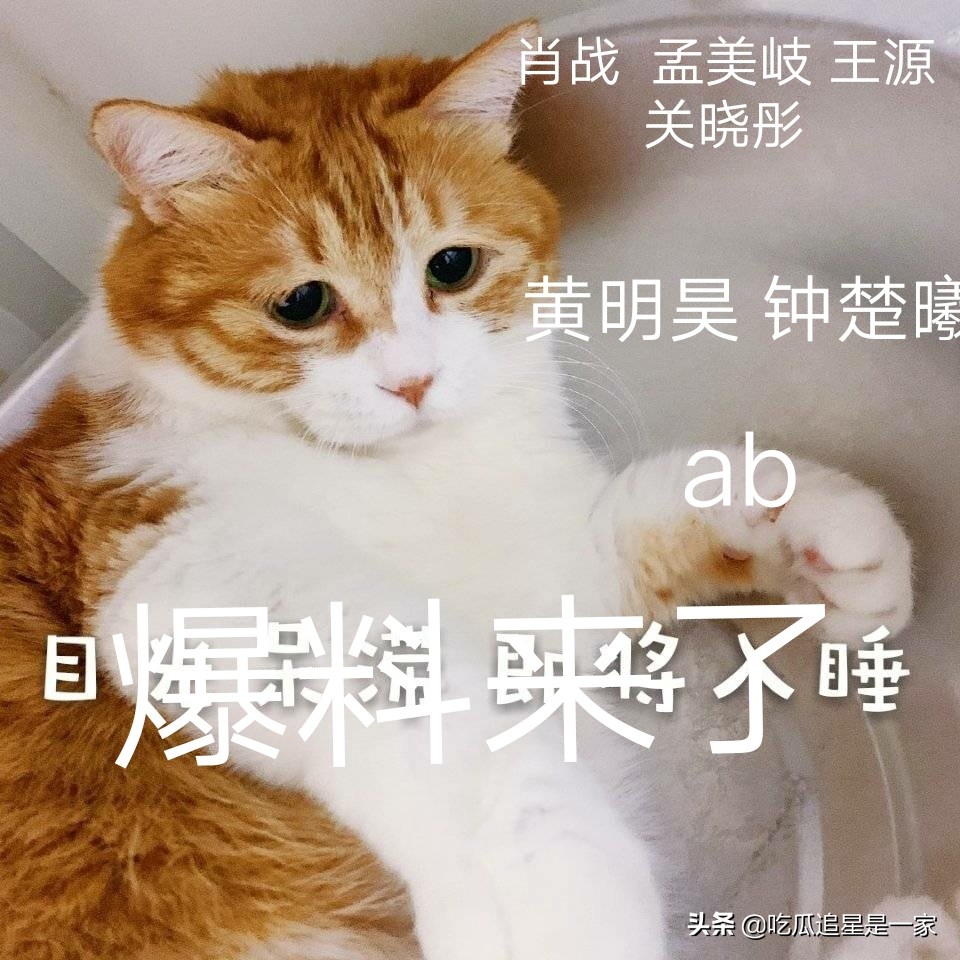 今日爆料：看看这些明星的最新动态……