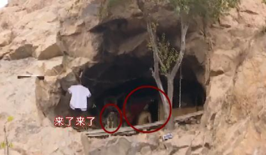 青岛李沧虎山这里有个“山顶洞人”、小伙隐居8年、为缓解病情