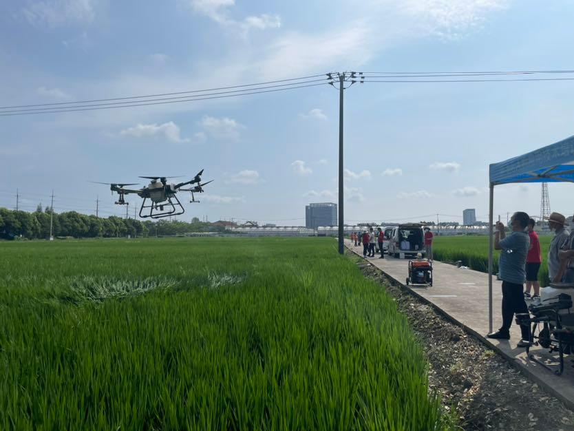 無(wú)人機(jī)“打藥水”，20分鐘完成60畝稻田的農(nóng)藥噴灑工作