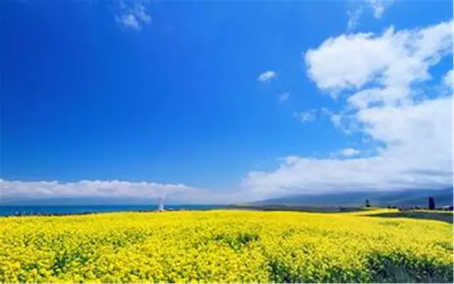 每日正能量——在时光深处，学会静静释怀