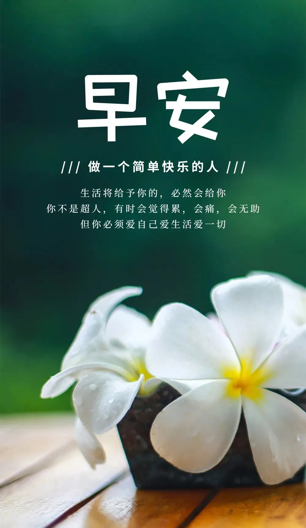 早安心语，正能量走心语录句子很好看的早上好图片图片