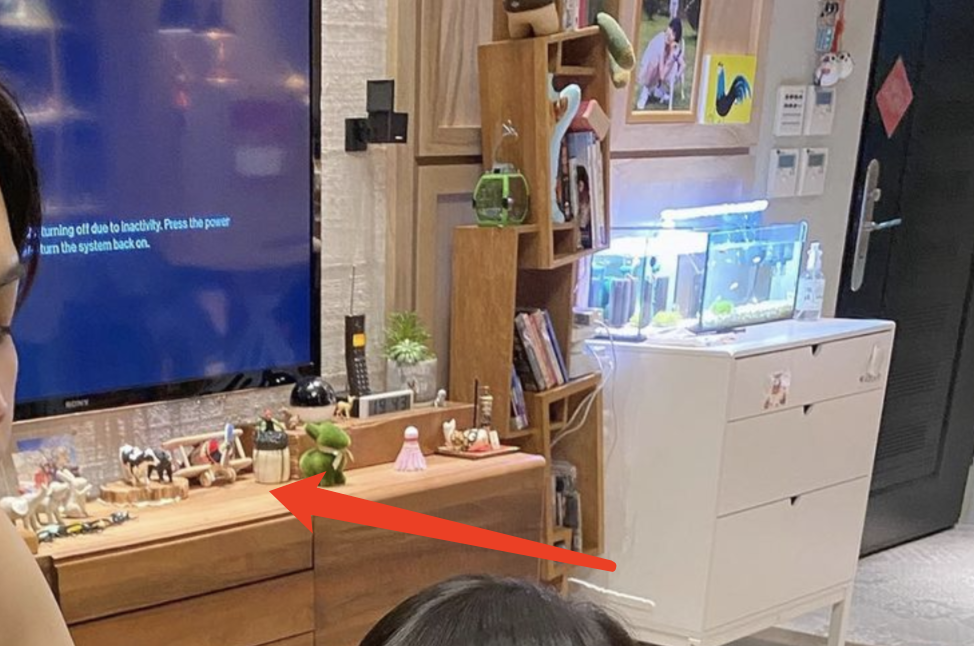 Ella亲自操刀给儿子理发，意外曝光豪宅内景，拥挤但很温馨