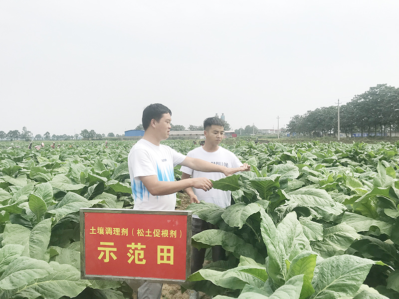 为什么说经济作物种植一定要了解松土促根土壤改良技术