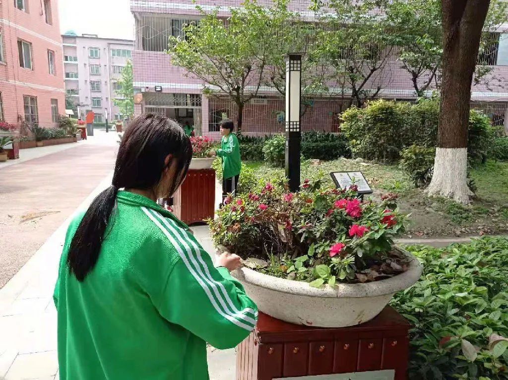 卫生是根本 运动是方式丨双流建校开展春季校园爱国卫生运动