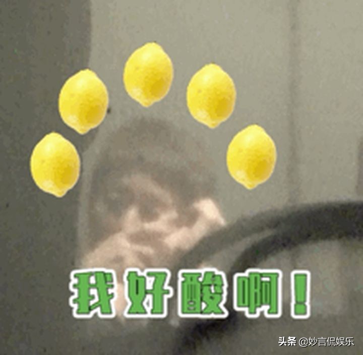 恭喜马伊琍！终于“复仇”成功了