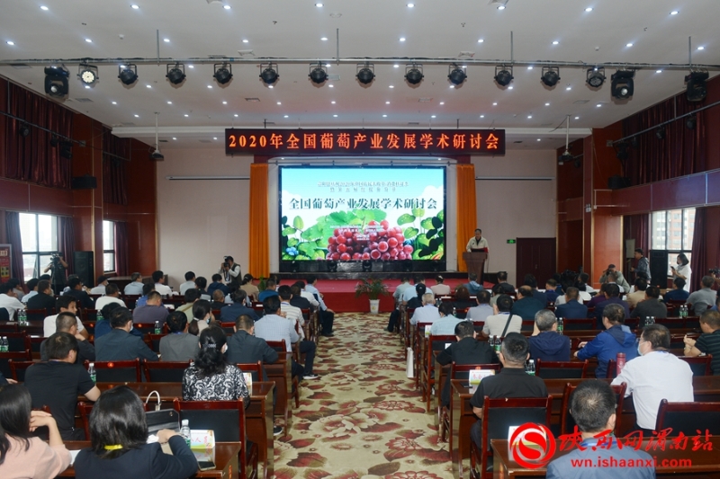 2020年全國葡萄產(chǎn)業(yè)發(fā)展學(xué)術(shù)研討會在合陽舉辦(組圖)