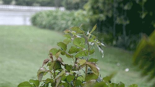 雨天穿搭指南 | 紅色預(yù)警擋不住的時尚